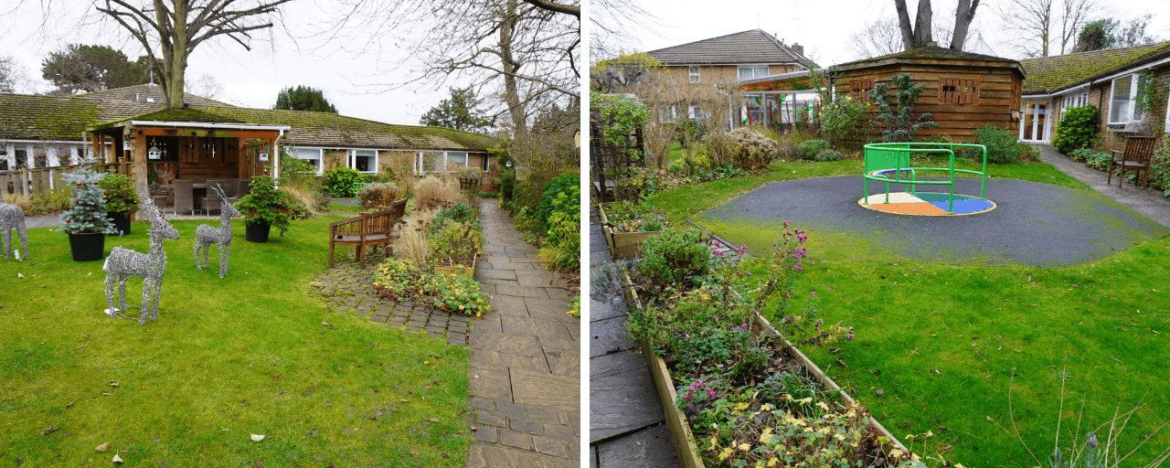 Garden before renovation