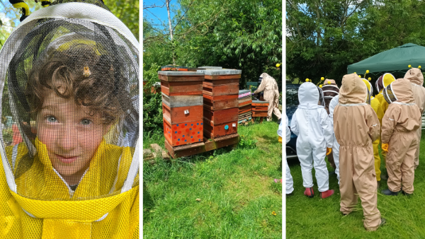 Beekeeping sibs day 2 Siblings day - Westbury Bee Group