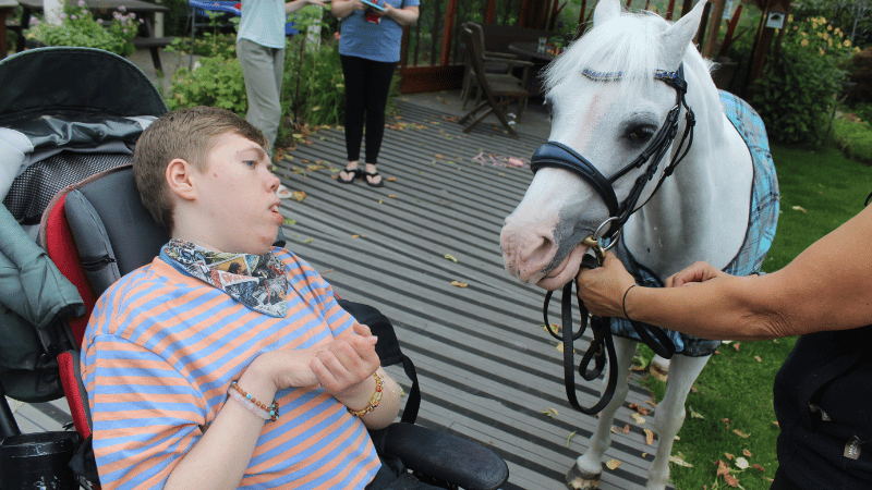 Max meeting a visiting pony max meeting a visiting pony