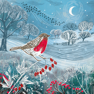 Moonlit Night - Pack of 10