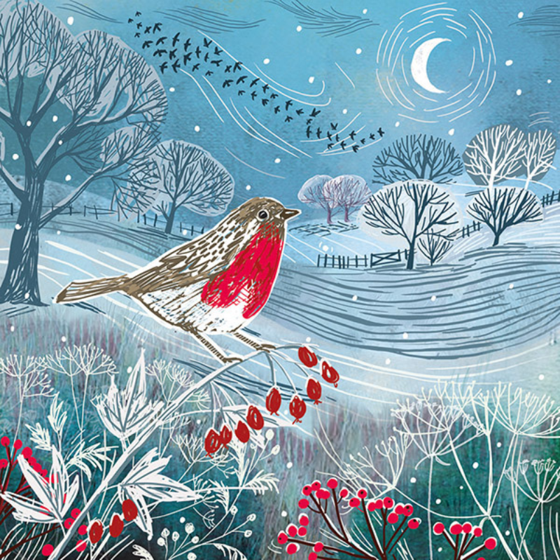 Moonlit Night – Pack of 10