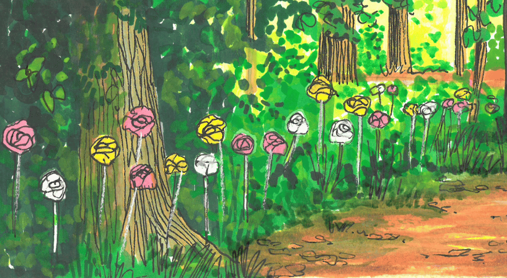 Roses illustration A painted illustration of a forest path lined with white, pink and yellow roses