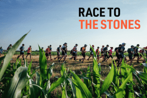 Race to the Stones A group of runners in a line running through a field