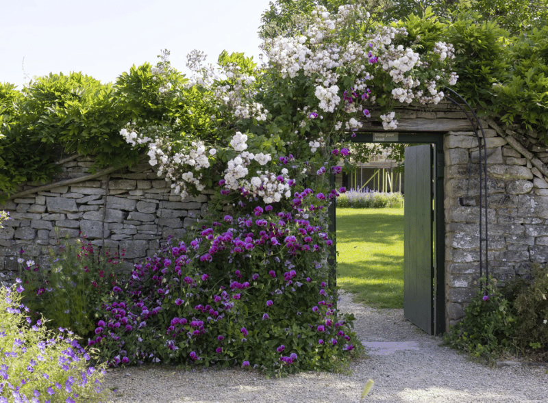 A group of people walking along a path through nature on a sunny day. 