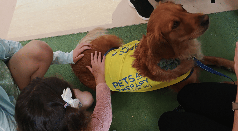 PAT-Dog-Visits