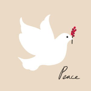 Christmas Cards - Bringing Peace - Pack of 10
